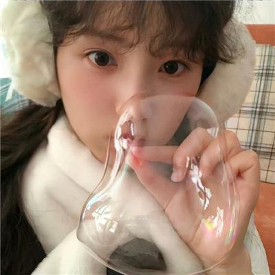 猫王艾维斯